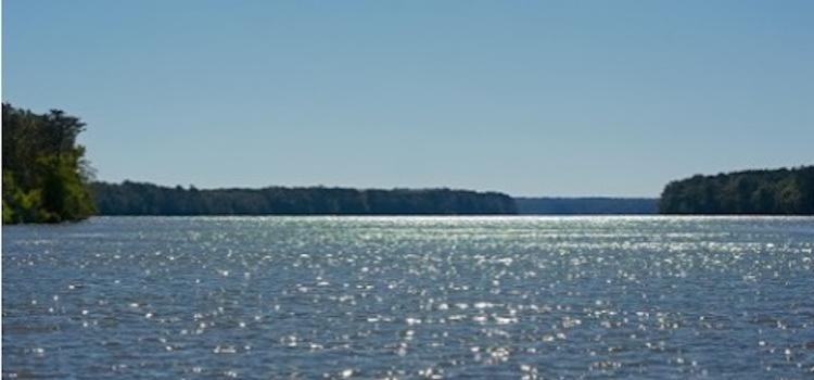 View of the Tensaw River from the Delta Explorer. Photo by Sherry Stimpson Frost.
